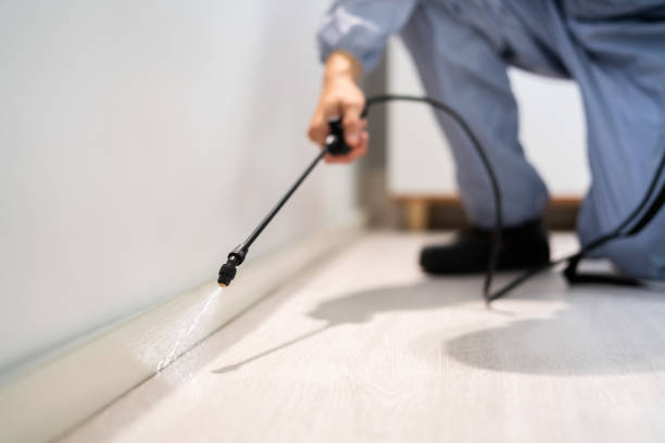 Licensed Rodent Control service in Clark County County, NV - Nex Pest Control